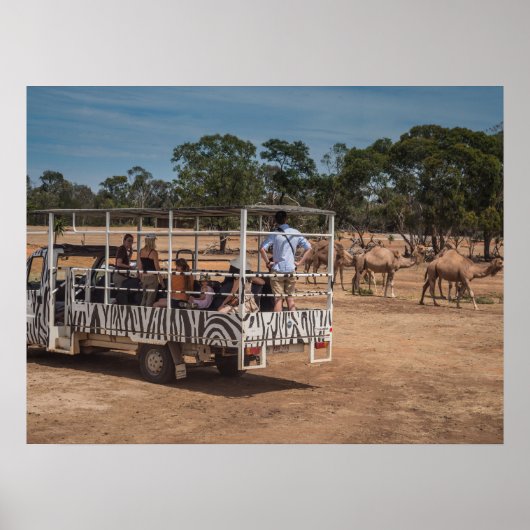 Poster Zebra Safari Tour Camion dans le parc animalier (Devant)