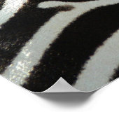 Poster Zebra Stripes (Coin)