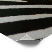 Poster Zebra Stripes 1 (Coin)