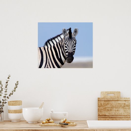 Poster Zebra vous regarde avec la photo bleu ciel (Cuisine)