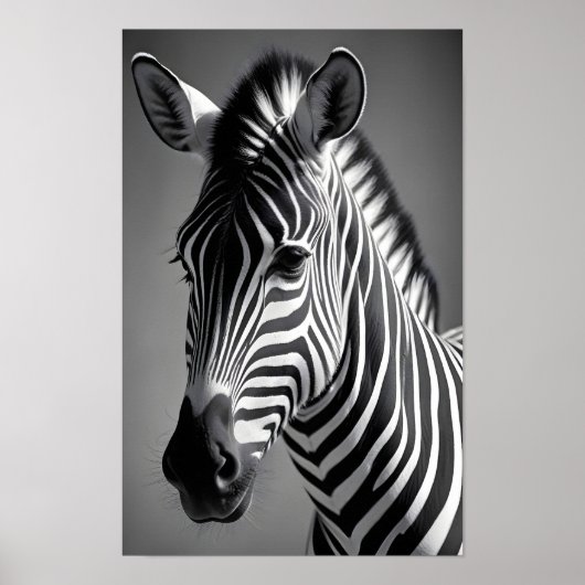 Poster Zebra Wildlife Majestic Nature Vie Art Fond d'écra (Devant)
