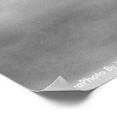 POSTER ZebraFoto van John A. Sylvester (Hoek)