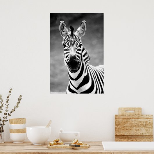 POSTER ZebraPhoto De John A. Sylvester (Cuisine)