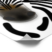 Poster Zebras (Coin)