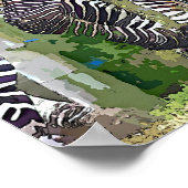 POSTER ZEBRAS (Coin)