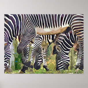 POSTER ZEBRAS