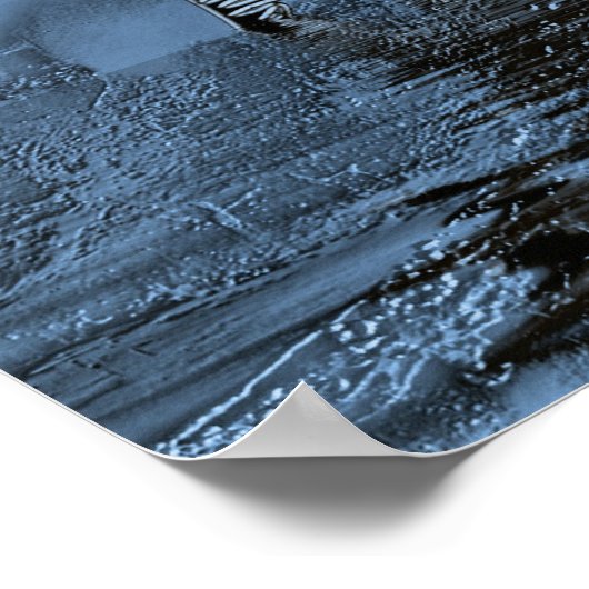 Poster Zebras5 (Coin)