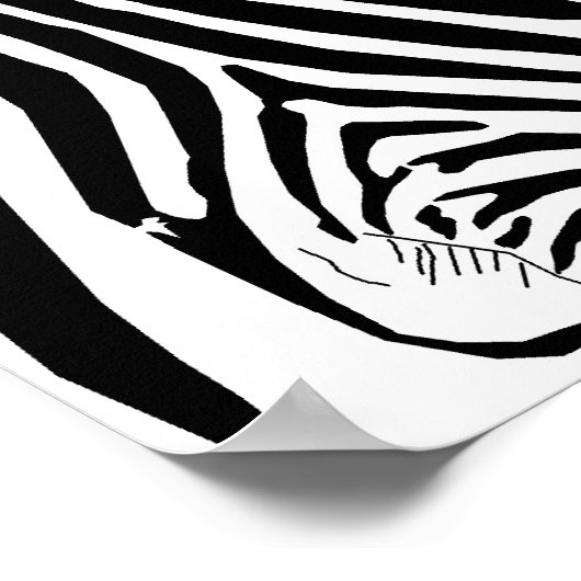 Poster Zebras Hugging pour Binary Options Trading (Coin)