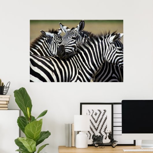 Poster Zebras pack ensemble dans un champ (Bureau à domicile)