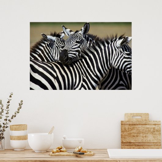 Poster Zebras pack ensemble dans un champ (Cuisine)