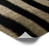 Poster Zebras tête à queue (Coin)