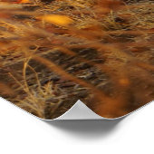 Poster Zèbre (Coin)