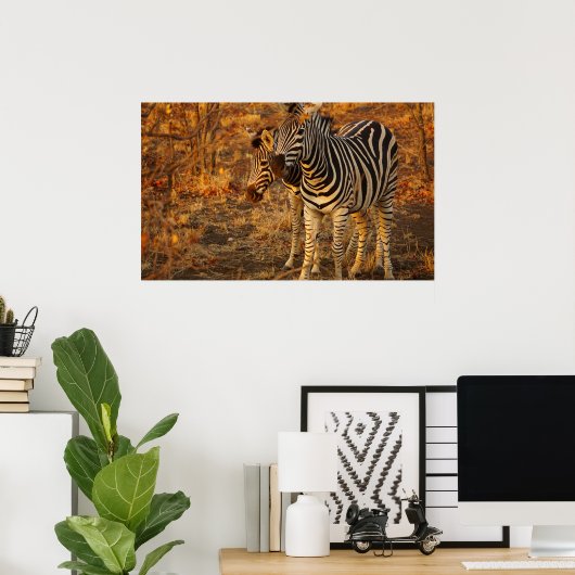 Poster Zèbre (Bureau à domicile)