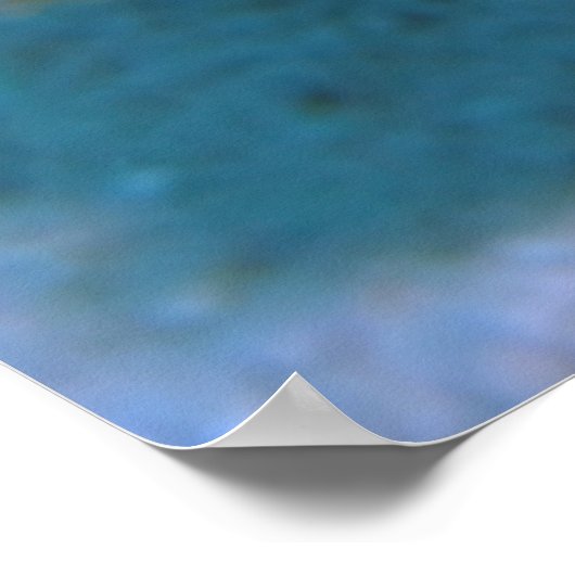 Poster Zèbre (Coin)