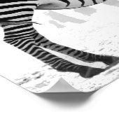 Poster zèbre (Coin)