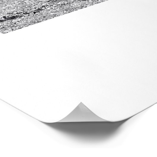 Poster Zèbre (Coin)