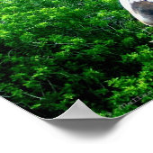 Poster Zèbre (Coin)