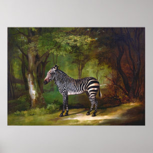 Poster Zèbre (1763) peinture de George Stubbs