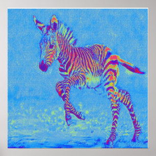 Poster zèbre bleu bébé courant