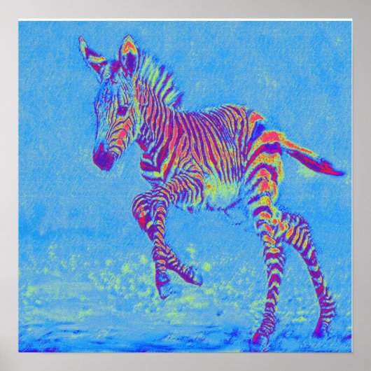 Poster zèbre bleu bébé courant (Devant)