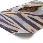 Poster Zèbre de Grant (Coin)