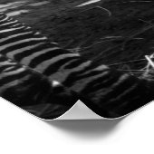 Poster zèbre et petit (Coin)