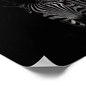 Poster Zèbre, noir et blanc photo (Coin)