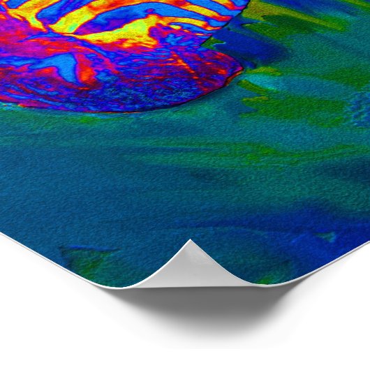 Poster zèbre psychédélique (Coin)