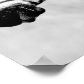 Poster Zèbres Animaux Faune Noir et Blanc (Coin)