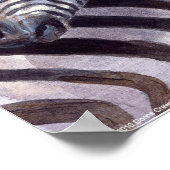 Poster Zèbres de Donna Crawshaw (Coin)