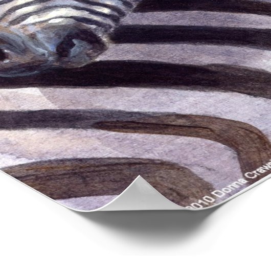 Poster Zèbres de Donna Crawshaw (Coin)