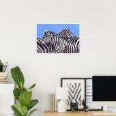 Poster Zèbres de Donna Crawshaw (Bureau à domicile)