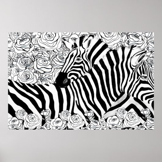 Poster Zèbres uniques (Devant)