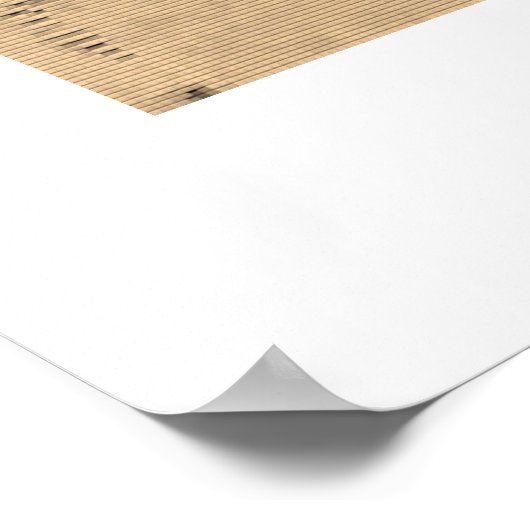 Poster Zebrix (Coin)