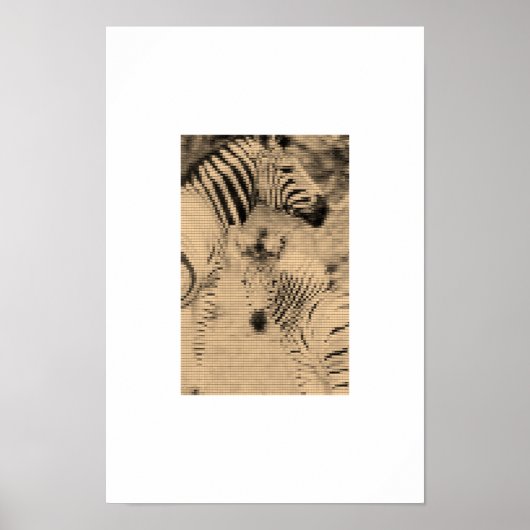 Poster Zebrix (Devant)