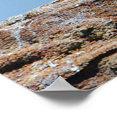 Poster zeevogels (Hoek)