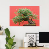 Poster Zelkova bonsai (Bureau à domicile)