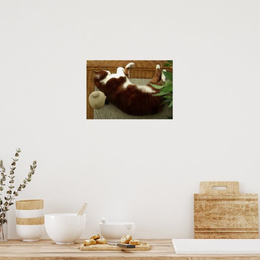 Poster Zen Cat (Cuisine)