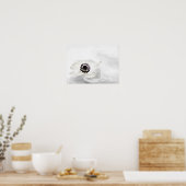 Poster Zen High Key White Anemone sur Arrière - plan d'ea (Cuisine)