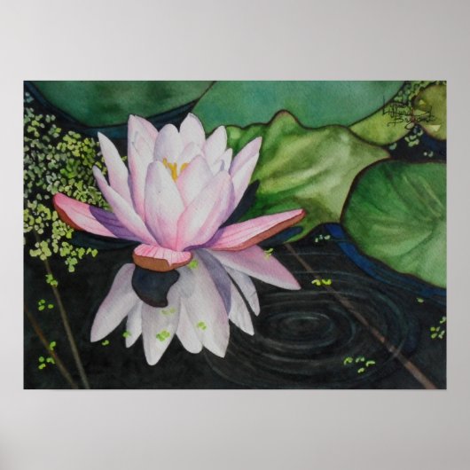 Poster Zen Lilly (Devant)