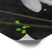 Poster Zen Lilly (Coin)