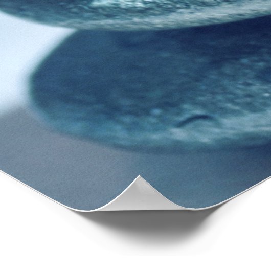 Poster Zen Rocks (Coin)