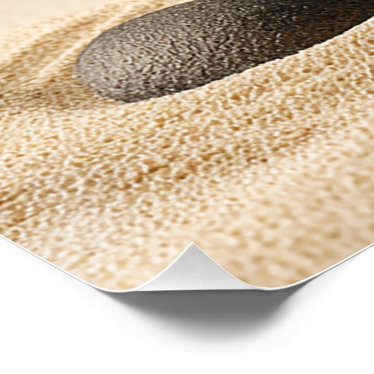 Poster Zen Stone Stack - Minimal Japandi Wall Art Print (Coin)