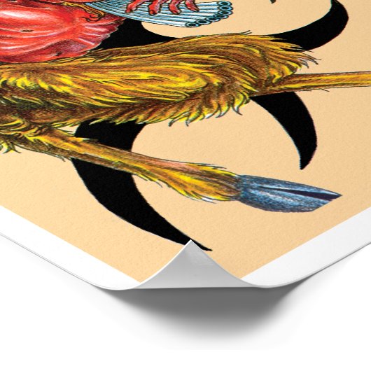 POSTER ZES_01 (Coin)