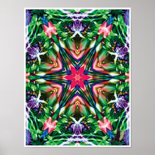 Poster Zesty Kinetic Collage Kaleidoscope