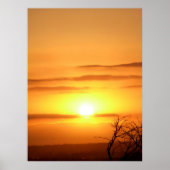 Poster Zesty SUN (Devant)