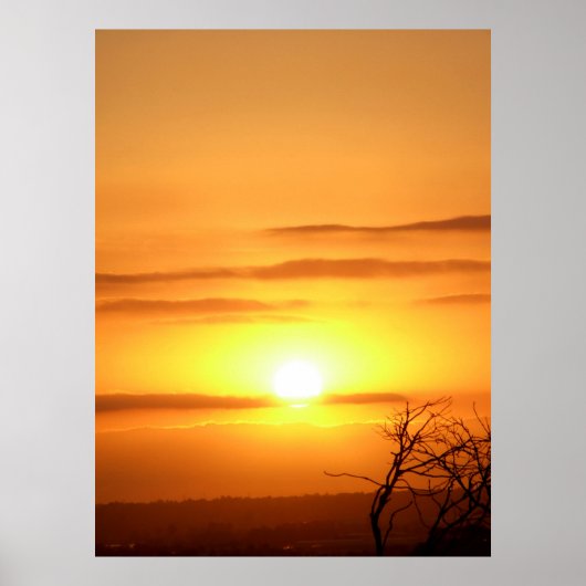 Poster Zesty SUN (Devant)