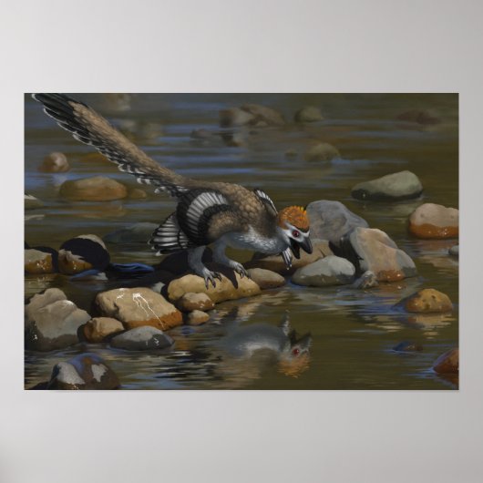 Poster Zhenyuanlong (Devant)