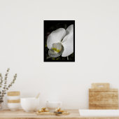 Poster Zijderorchidee Floral Fotografie (Keuken)