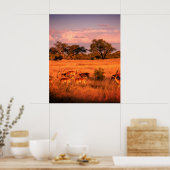 Poster Zimbabwe la nature pure de l'antilope (Cuisine)